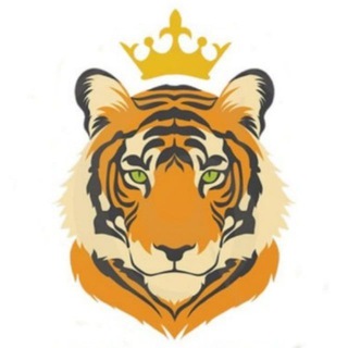 Telegram group profile photo for Tigerking global