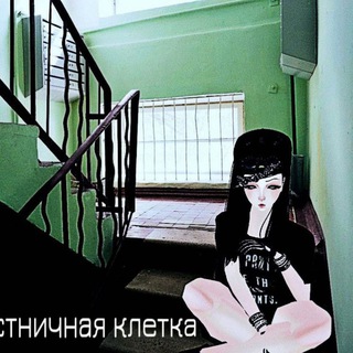 Telegram profile photo for Мц лестничная клетка чзх