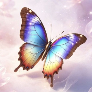 Telegram profile photo for 🦋妖蝶🦋