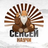 Telegram profile photo for Сенсей, научи!