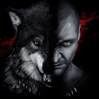 Telegram profile photo for Боевая логика🐺