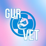 Telegram profile photo for Gur.Vet