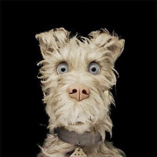 Telegram profile photo for Wurfel