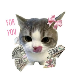 Telegram profile photo for cay daget ¡!