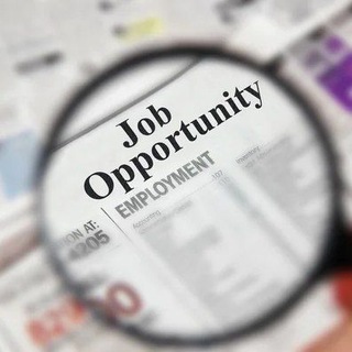 Telegram profile photo for Indian Job platform