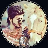 Telegram profile photo for MUSOFIR BOLA