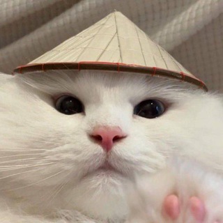 Telegram profile photo for да вы рофлите