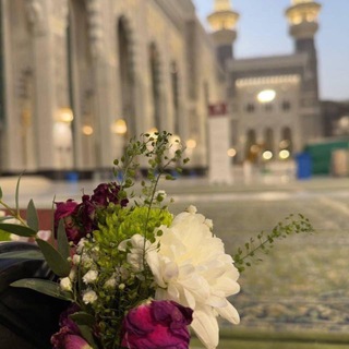 Telegram profile photo for أثر جَميل قبل الرحِيل 🌿
