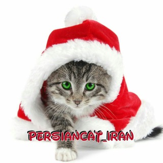 Telegram profile photo for Persiancat.iran