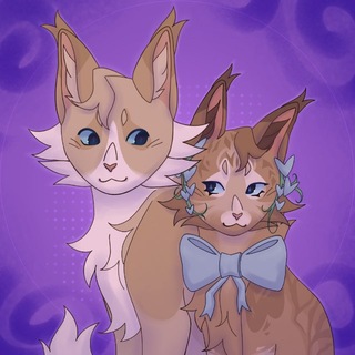 Telegram profile photo for ︵ ︵𝐂𝐨𝐜𝐨𝐧𝐮𝐭~𝐓𝐚𝐤𝐢'𝐬ˢᵗᵘᵈⁱᵒ.ೃ࿔