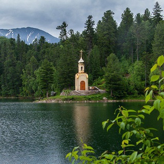 Telegram group profile photo for 🌼 Без ботов | Пиар-чат для творчества