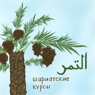Telegram profile photo for Ат—Тамр: шариатские курсы