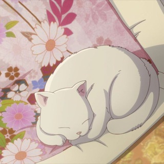 Telegram profile photo for pink flowers