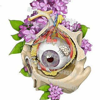 Telegram profile photo for All about Opthalmology