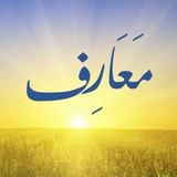 Telegram profile photo for معارف