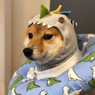 Telegram profile photo for The cake is a lie
