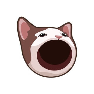 Telegram profile photo for POPCAT|BSC🐈