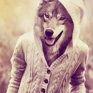 Telegram profile photo for наличие