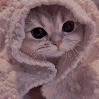 Telegram group profile photo for 💜 Взаимные подписки 💜