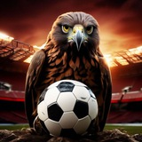Telegram profile photo for Донские ястребы футбольный клуб на электро коляска⚽️⚽️⚽️