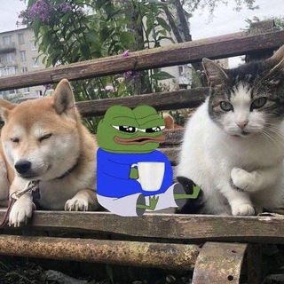 Telegram profile photo for Nothing To Watch