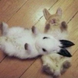 Telegram profile photo for юз
