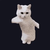 Telegram profile photo for CAT GIFS | PORTAL