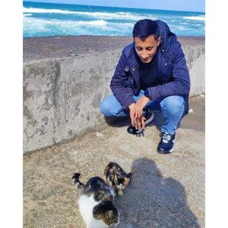 Telegram profile photo for عمّاريّات.