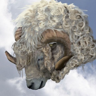 Telegram profile photo for Переезд😳
