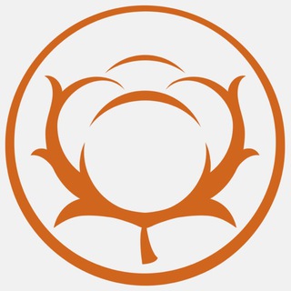Telegram profile photo for PURA VIDA