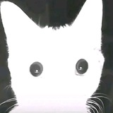 Telegram profile photo for Архив TRIAL