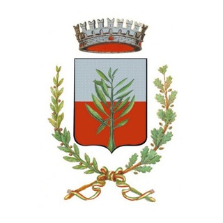 Telegram profile photo for Comune di Bernareggio - Aggiornamenti