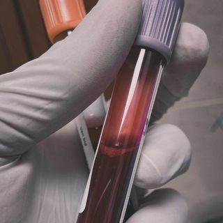 Telegram profile photo for "Medical Microbiology (21)"