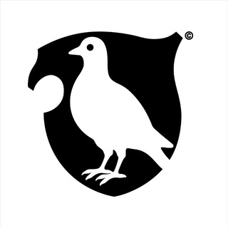 Telegram profile photo for FAWO