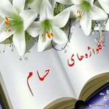 Telegram profile photo for گلواژه