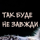 Telegram profile photo for Панда + равлище + кіт + ондатр