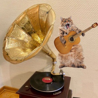 Telegram profile photo for Музыкальный ПердЮмонокль🎼