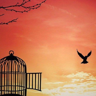 Telegram profile photo for ترنم آزادی