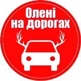Telegram profile photo for Олені на дорогах Біла Церква