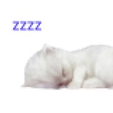Telegram profile photo for ՞っ ̫ ᴗ՞ 💤