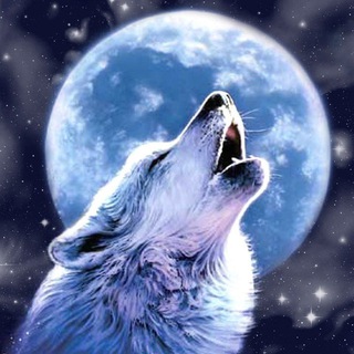 Telegram profile photo for XT ZALO