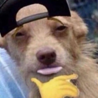 Telegram profile photo for Cotton's Gambles
