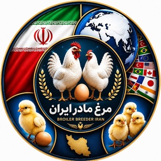 Telegram profile photo for 🇮🇷 "مرغ مادر ایران"