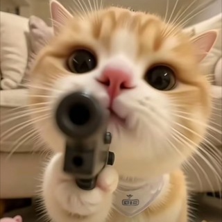 Telegram profile photo for 帅喵反馈(复活版)