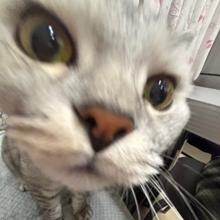 Telegram profile photo for аняняня