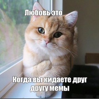 Telegram profile photo for МЕМОрандум