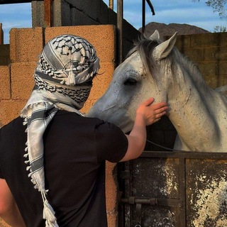 Telegram profile photo for ݺ،أباهاشم "رياض الصالحين"