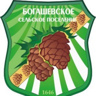 Telegram profile photo for Официальный канал Богашевского сельского поселения