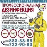 Telegram profile photo for Dezinfeksiya hizmati Toshkent shaxar