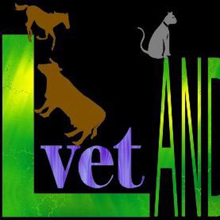 Telegram profile photo for Vetland(دامپزشكان)